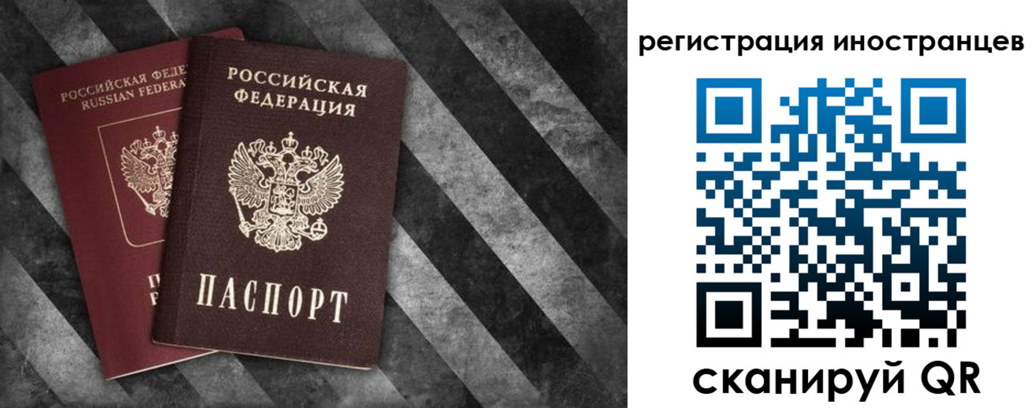 прописка для школы в Ельце